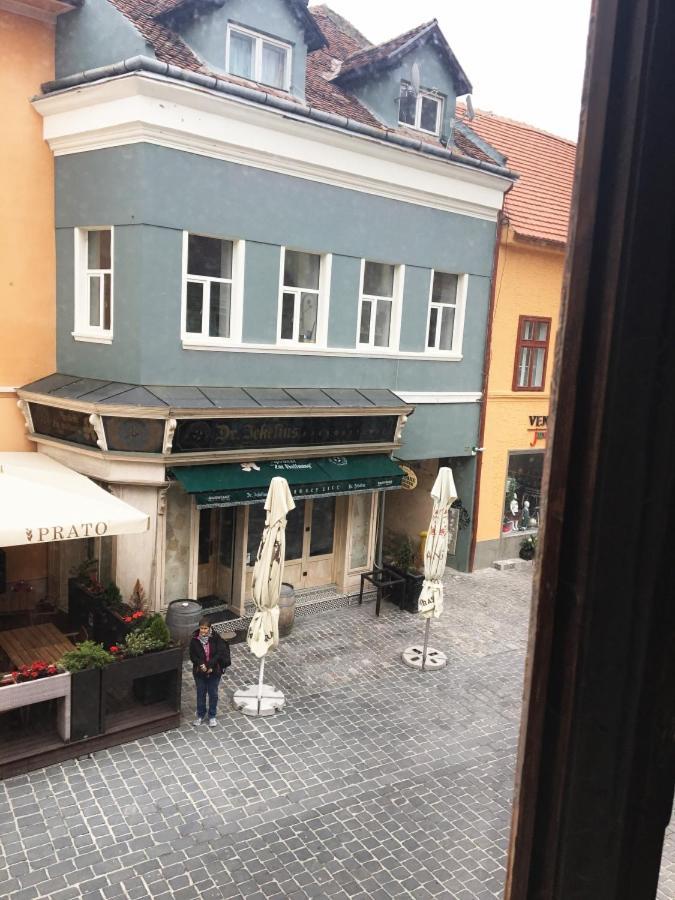 Aristocrat Vintage Apartment Brașov Exterior foto